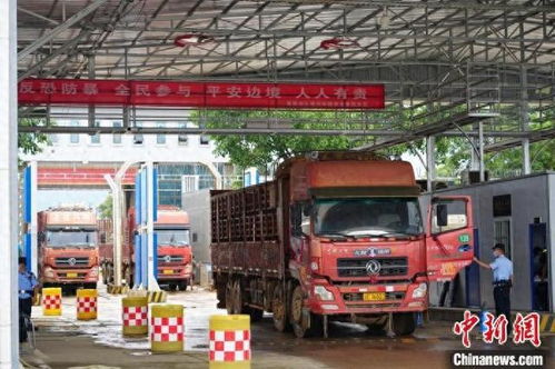 中緬邊境章鳳口岸2024年進出口貨物量突破52萬噸，國內(nèi)貿(mào)易代理作用顯著