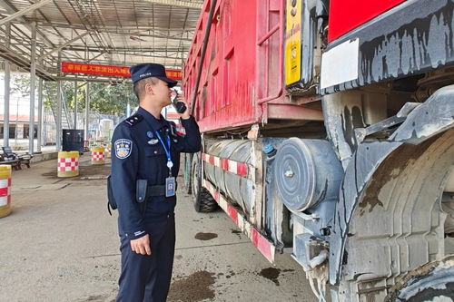 瑞麗口岸2025年進(jìn)出口貨物通關(guān)量突破136萬噸 展現(xiàn)邊境貿(mào)易新活力